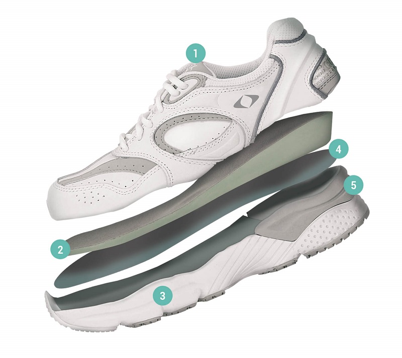 Apex Shoe Diagram