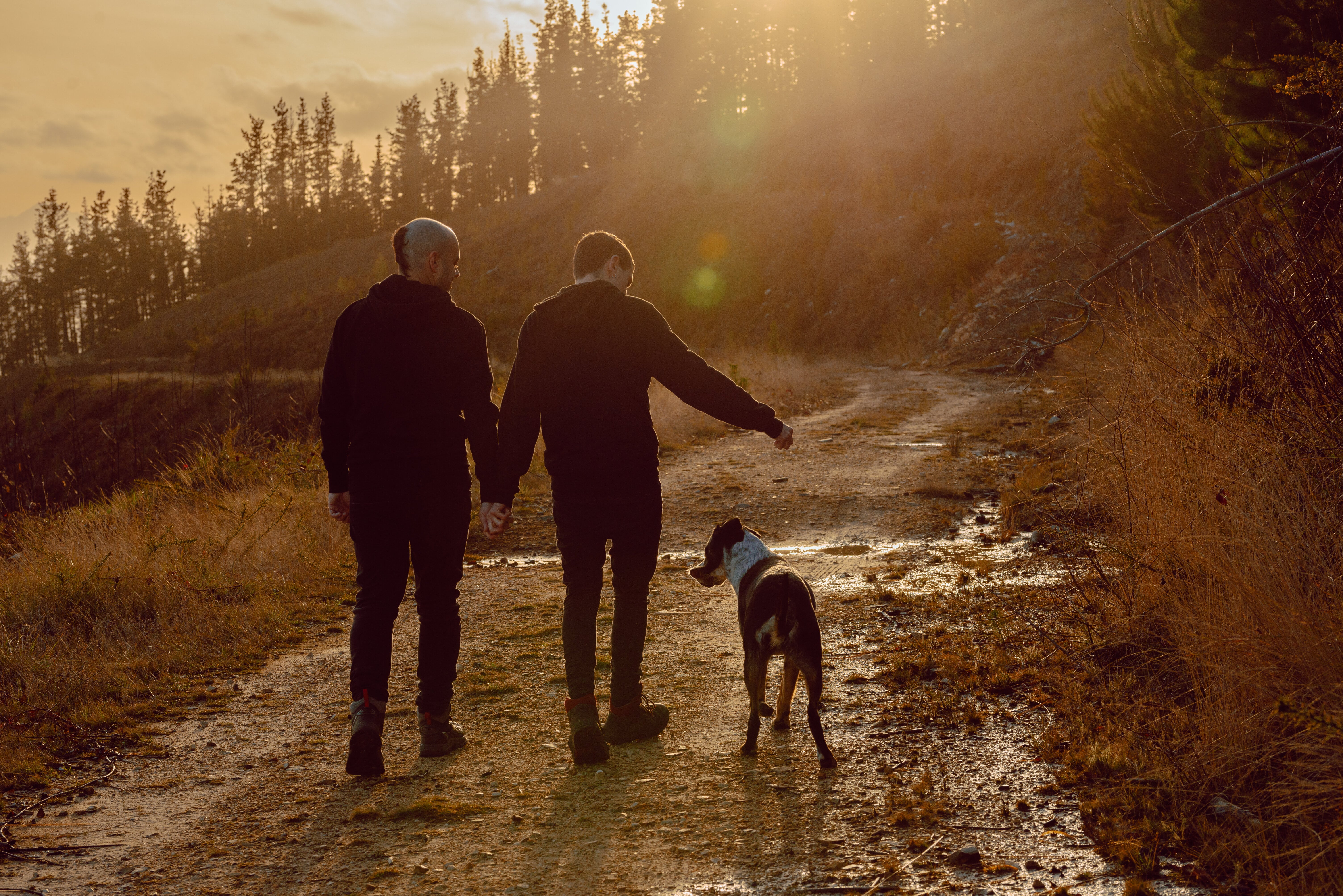 Couple walking outside with dog