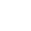 Free shipping in the continental US